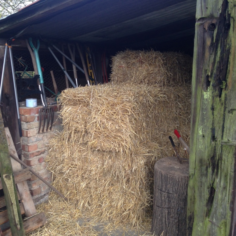 We took a delivery of fresh straw at the weekend – this winter being so wet, we've got through quite a bit